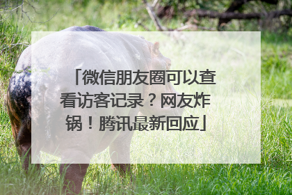 微信朋友圈可以查看访客记录？网友炸锅！腾讯最新回应